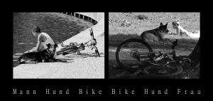 mann-hund-bike-bike-hund-frau-de7ba211-0039-4727-aff0-5df4d102f2a5