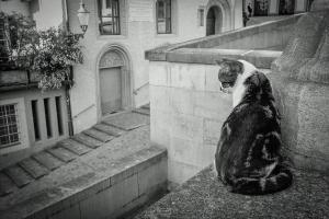 Tiere Frank Herberg Photography